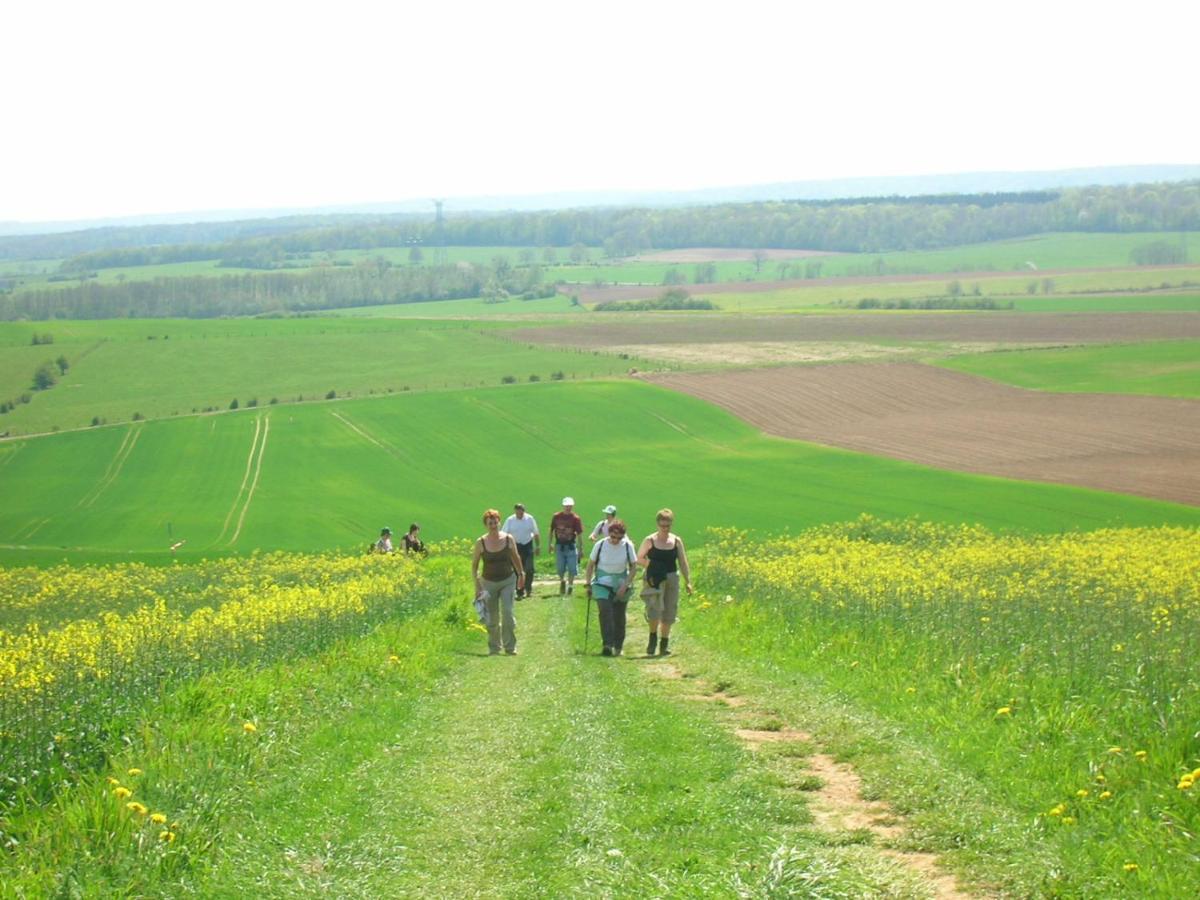 Gite La Volette Moulins-Saint-Hubert 外观 照片