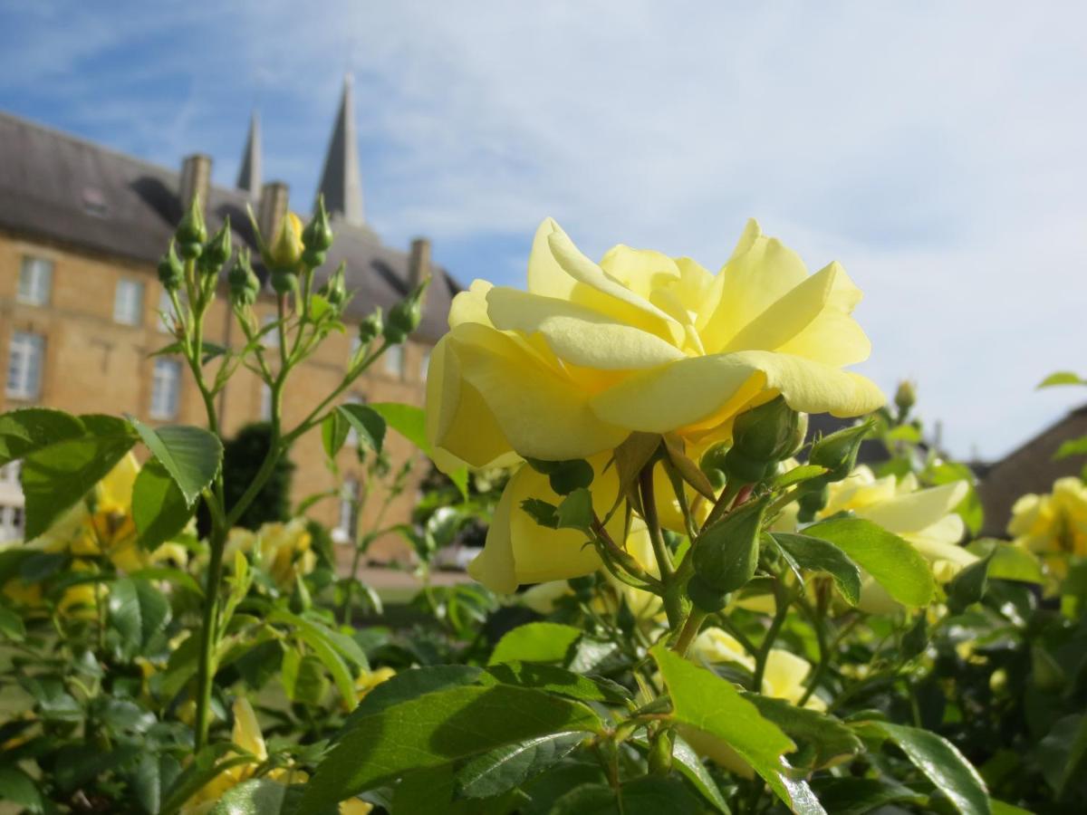 Gite La Volette Moulins-Saint-Hubert 外观 照片