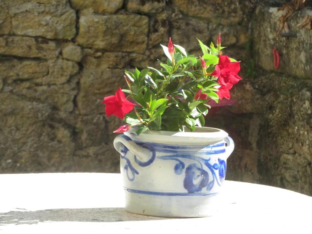 Gite La Volette Moulins-Saint-Hubert 外观 照片